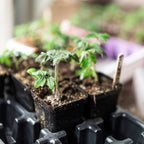 Seed Starter Pots - 2.5" Extra Strength