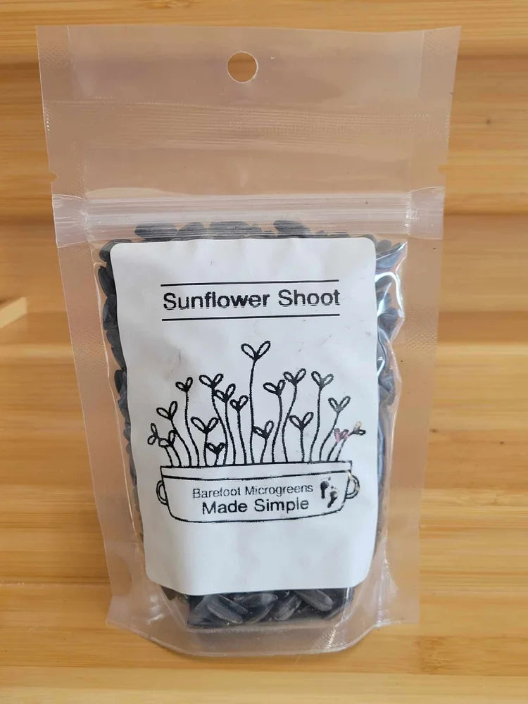Black oil Sunflower Seeds