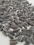 Black oil Sunflower Seeds