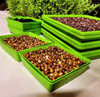 "Grow your Own" Little Bros Micros Kit