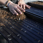1020 Microgreen Trays | Heavy Duty Shallow 1020 Trays