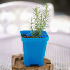 5" Heavy Duty Nursery Pots