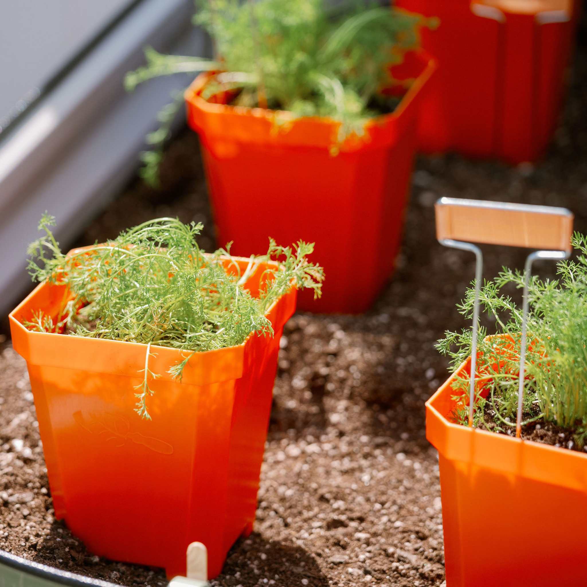 5" Heavy Duty Nursery Pots