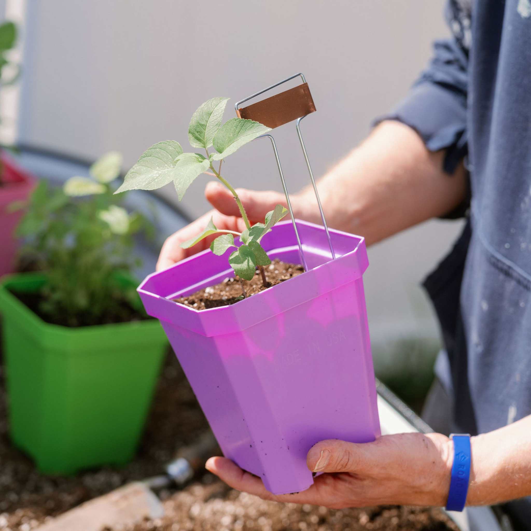 5" Heavy Duty Nursery Pots