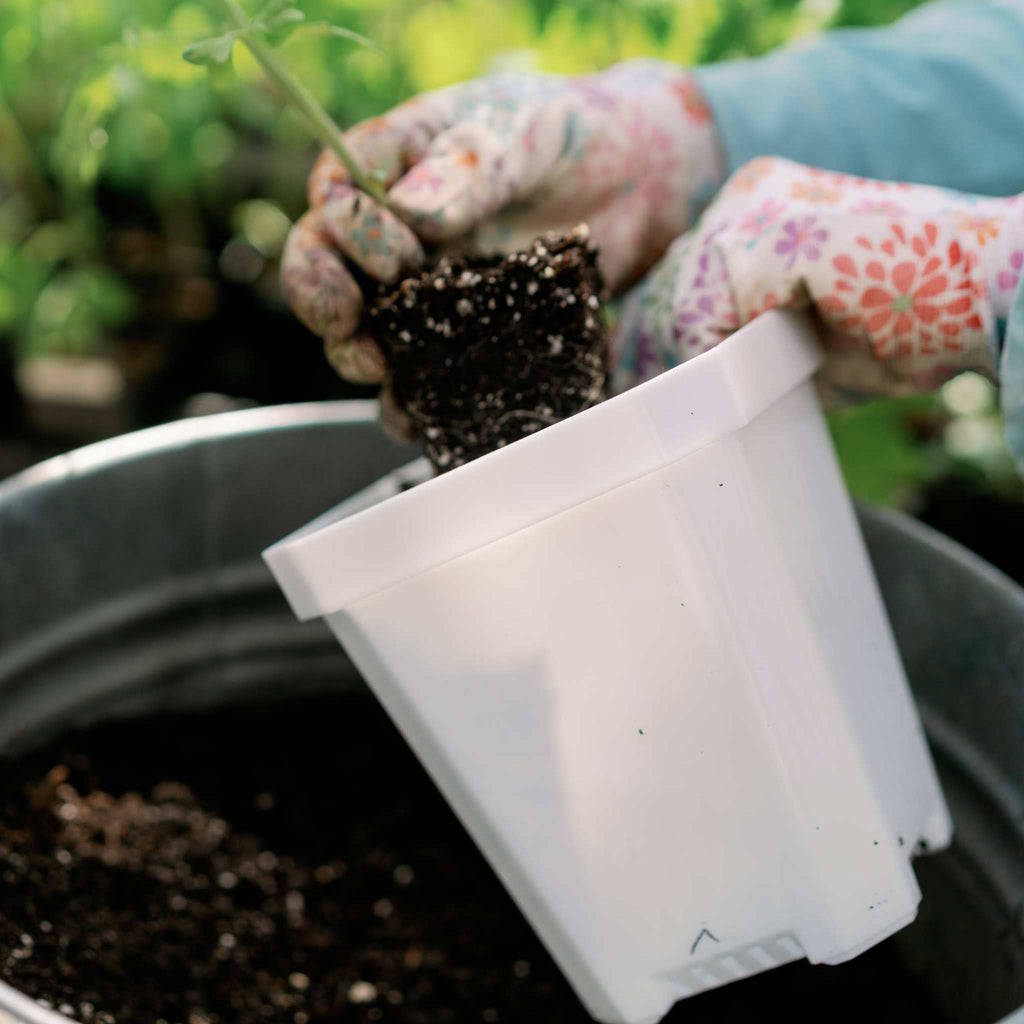 5" Heavy Duty Nursery Pots